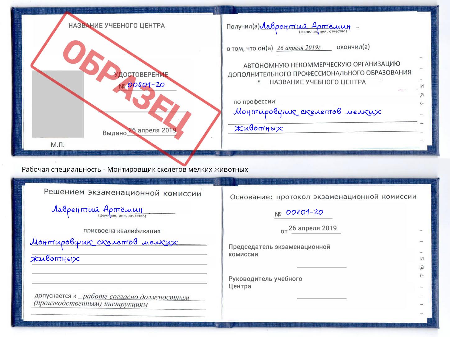 Монтировщик скелетов мелких животных Барнаул