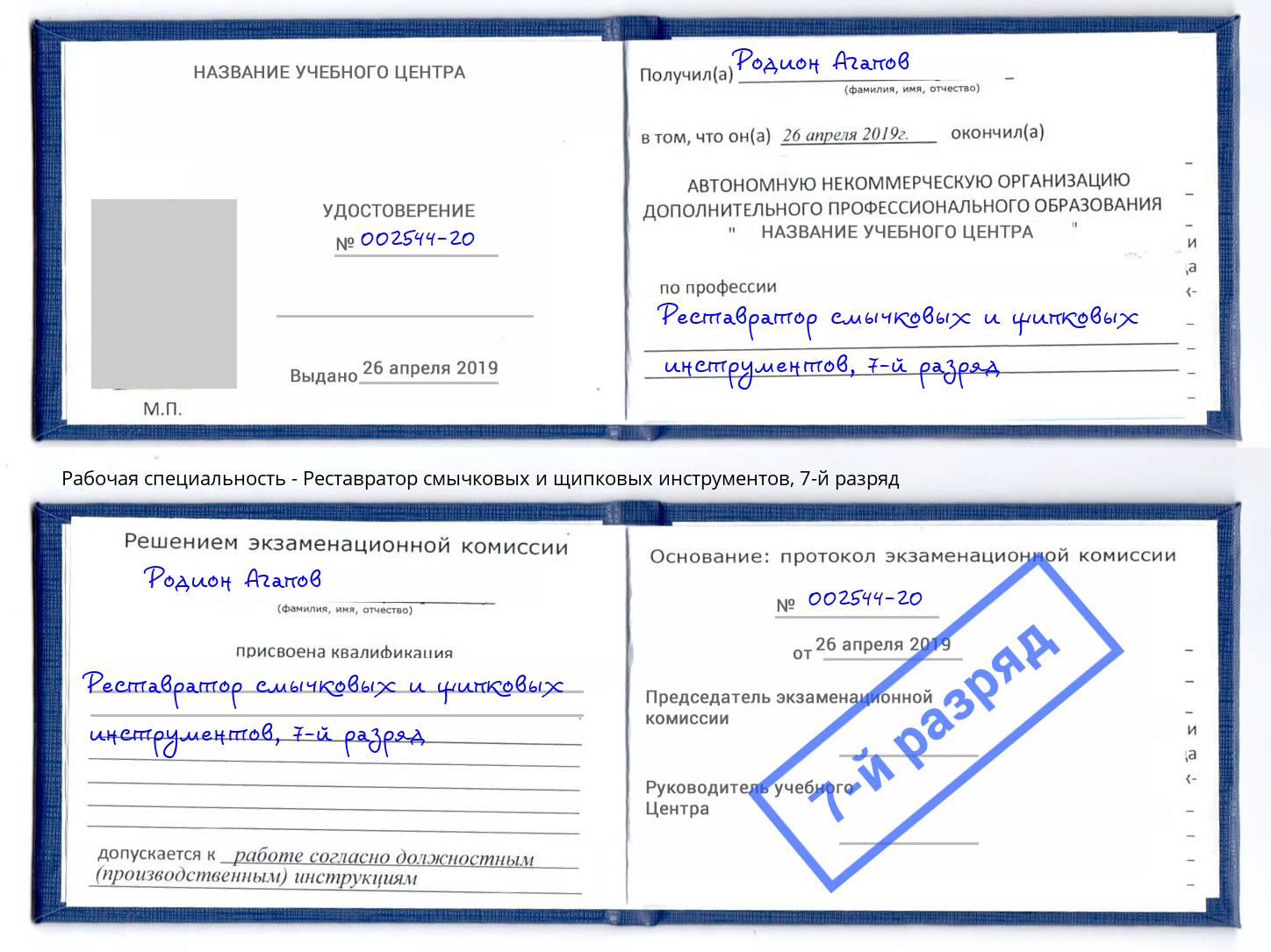 корочка 7-й разряд Реставратор смычковых и щипковых инструментов Барнаул